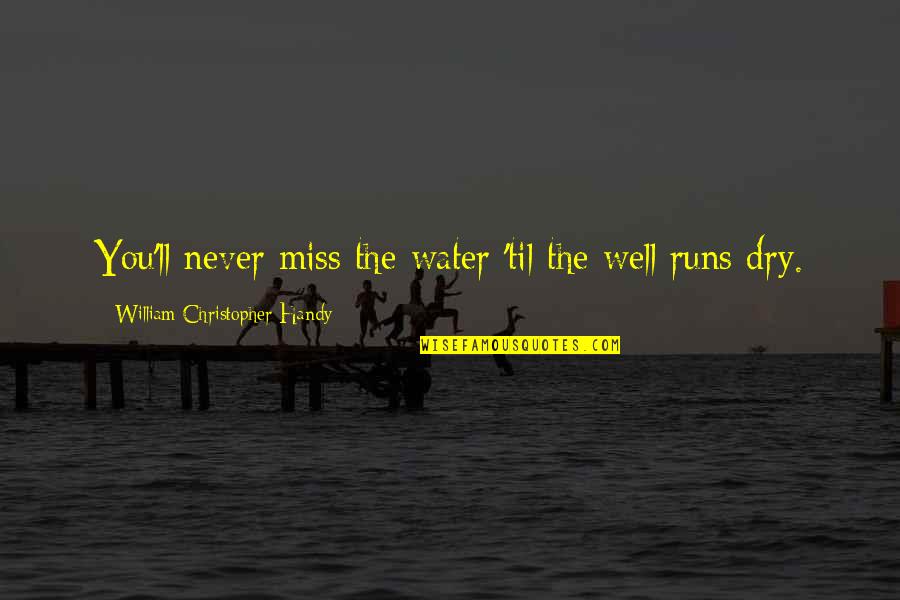 You Ll Quotes By William Christopher Handy: You'll never miss the water 'til the well
