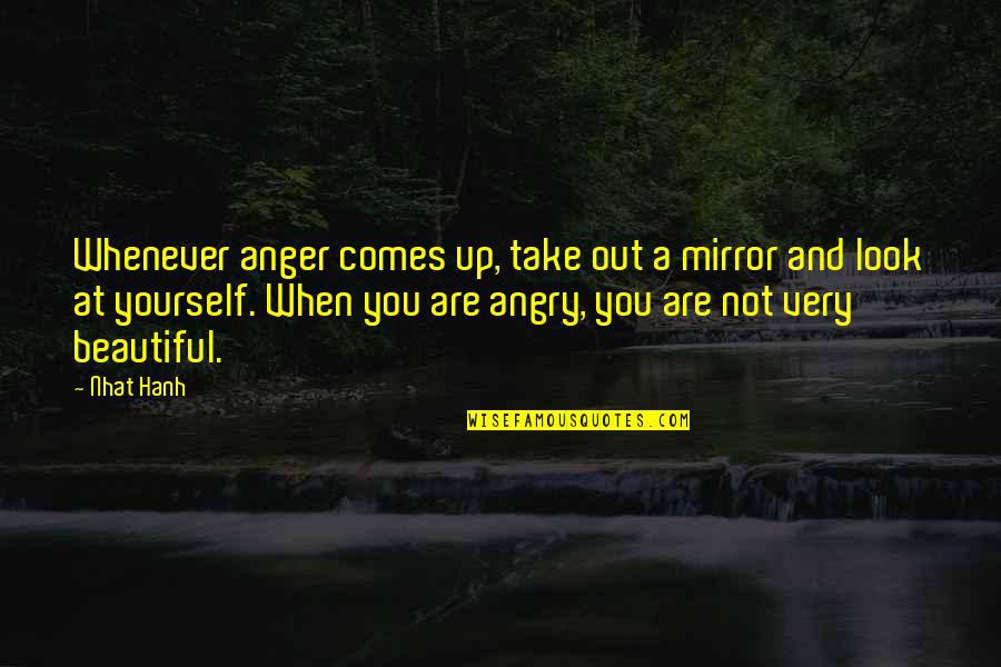 You Look Beautiful Quotes By Nhat Hanh: Whenever anger comes up, take out a mirror