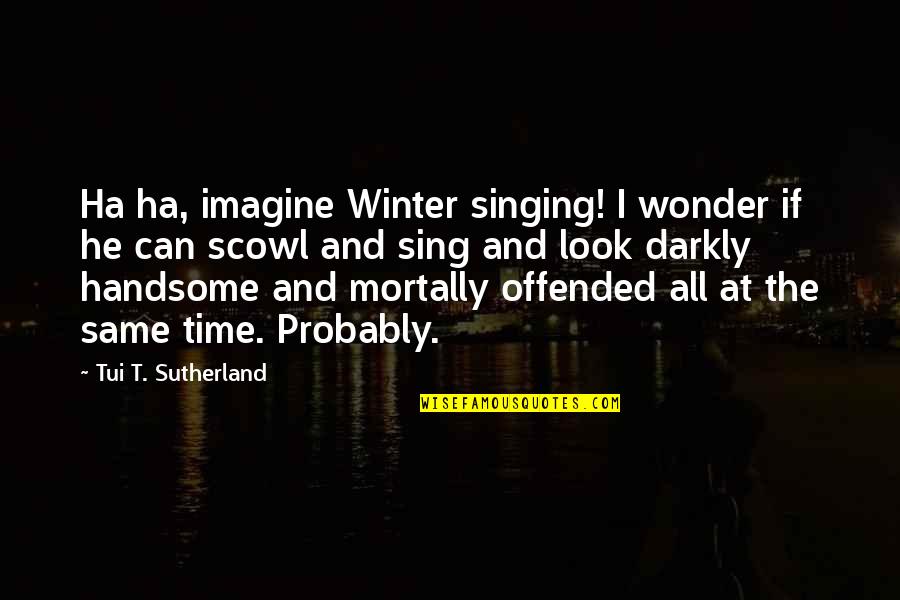 You Look Handsome Quotes By Tui T. Sutherland: Ha ha, imagine Winter singing! I wonder if
