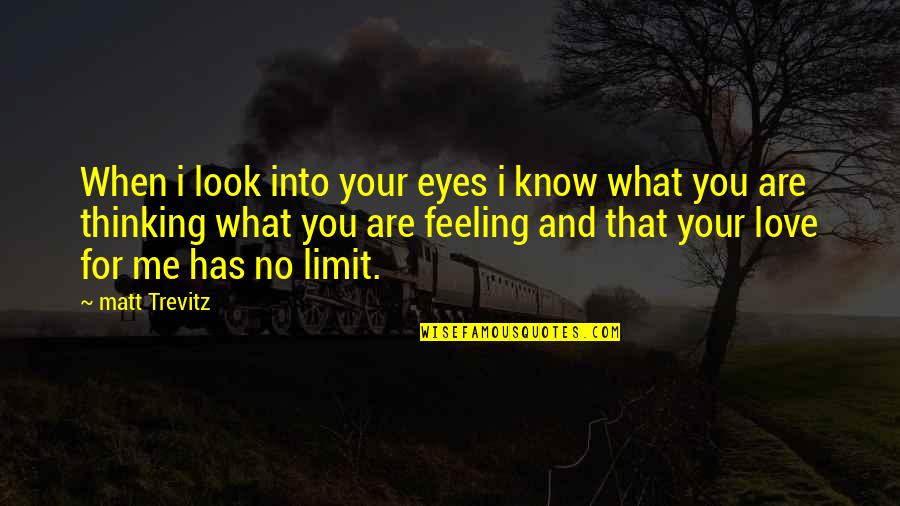 You Look Me Eyes Quotes By Matt Trevitz: When i look into your eyes i know