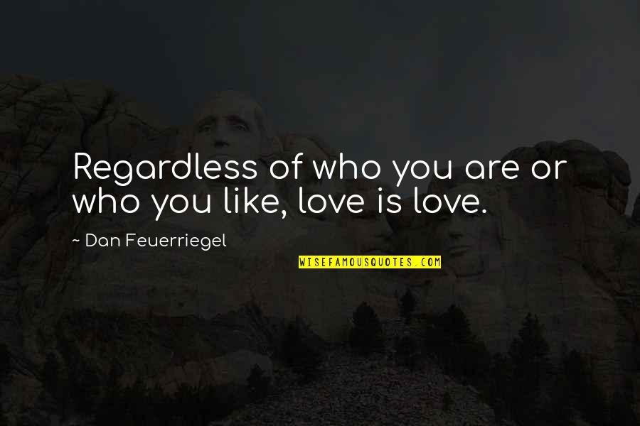 You Look So Stunning Quotes By Dan Feuerriegel: Regardless of who you are or who you