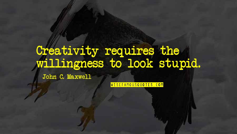 You Look So Stupid Quotes By John C. Maxwell: Creativity requires the willingness to look stupid.