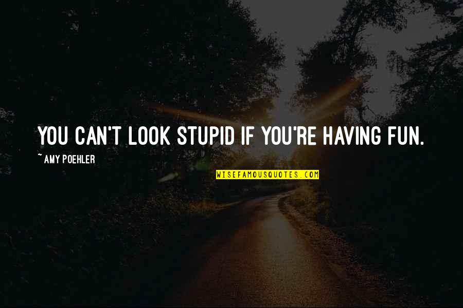 You Look Stupid Quotes By Amy Poehler: You can't look stupid if you're having fun.