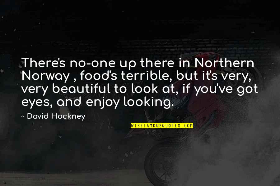 You Look Very Beautiful Quotes By David Hockney: There's no-one up there in Northern Norway , You Look Very Beautiful Quotes By David Hockney: There's no-one up there in Northern Norway ,