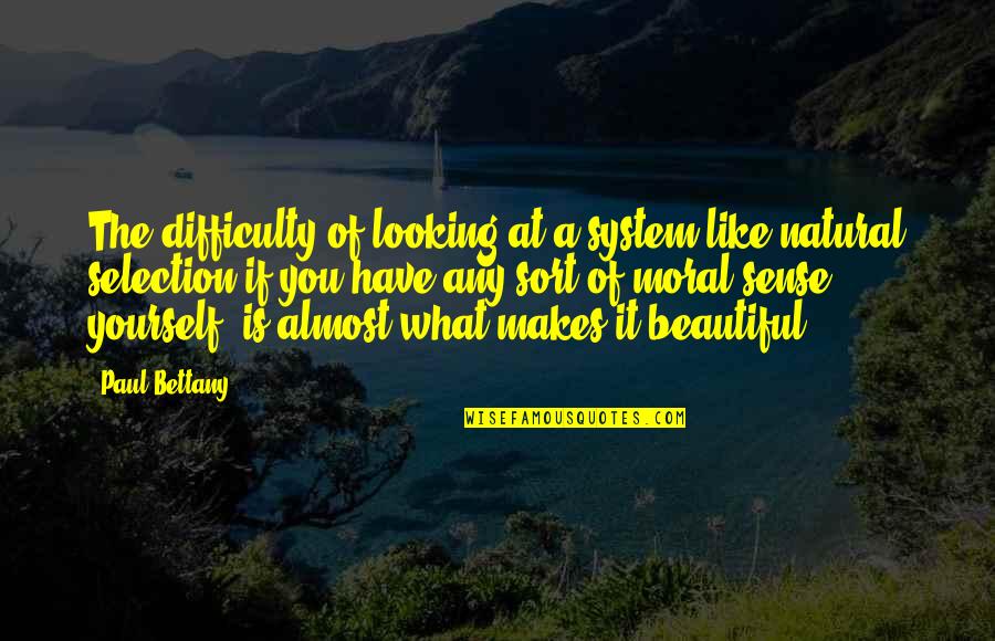 You Looking So Beautiful Quotes By Paul Bettany: The difficulty of looking at a system like You Looking So Beautiful Quotes By Paul Bettany: The difficulty of looking at a system like