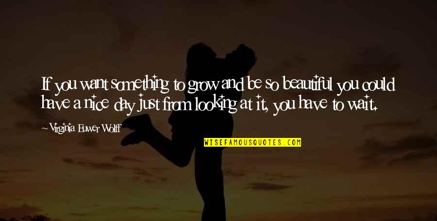 You Looking So Beautiful Quotes By Virginia Euwer Wolff: If you want something to grow and be You Looking So Beautiful Quotes By Virginia Euwer Wolff: If you want something to grow and be