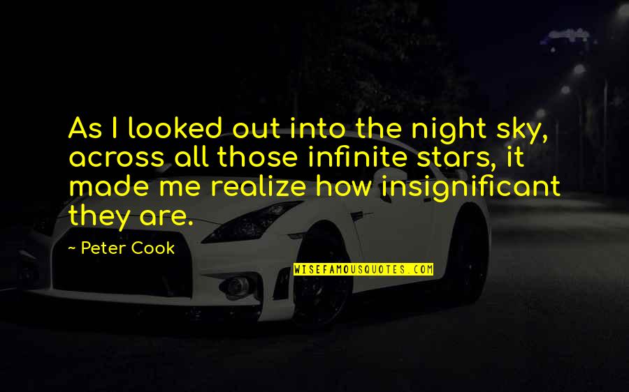 You Made Me Realize Quotes By Peter Cook: As I looked out into the night sky,