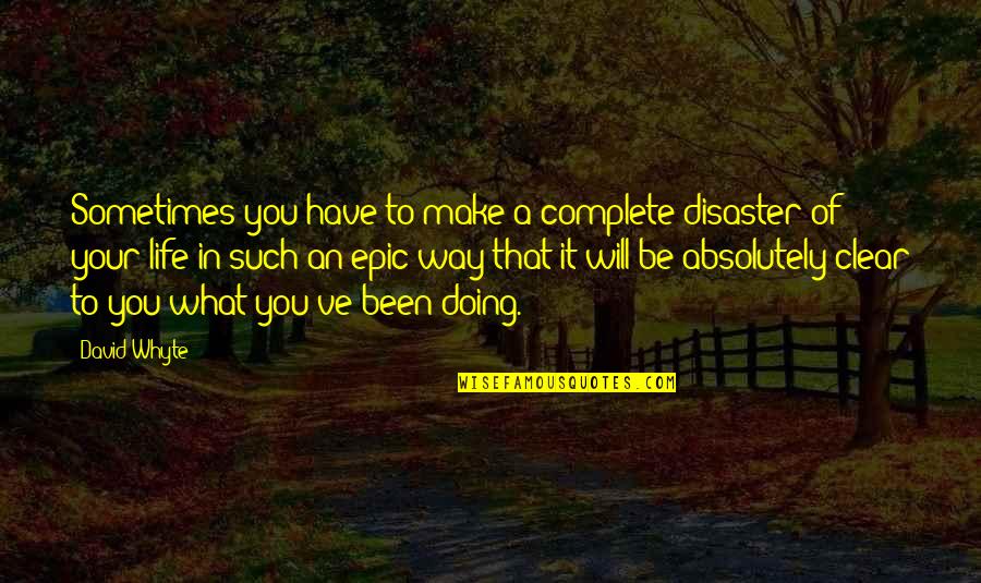 You Make My Life Complete Quotes By David Whyte: Sometimes you have to make a complete disaster