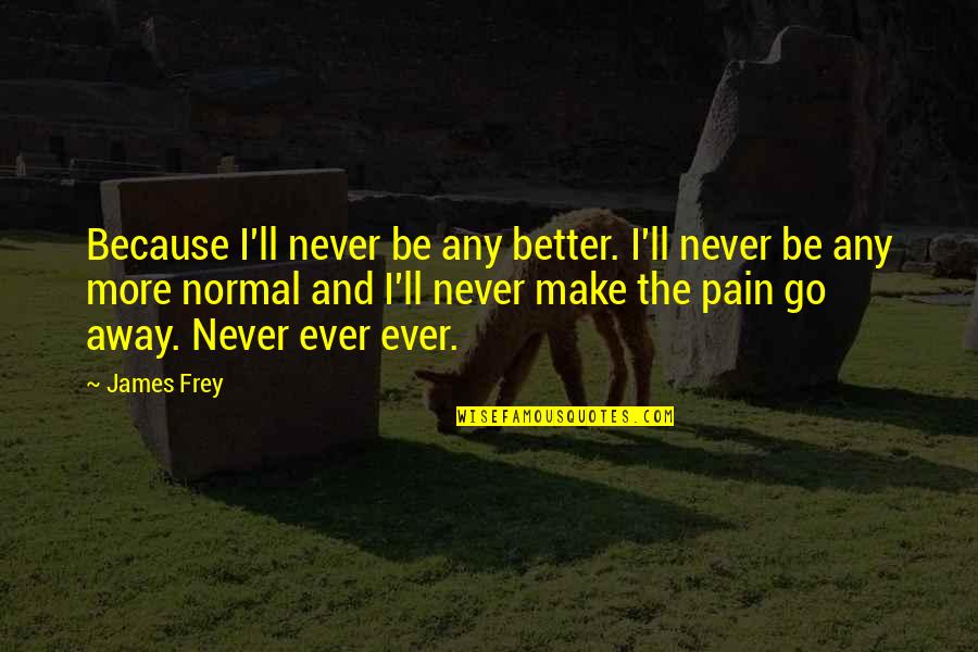 You Make The Pain Go Away Quotes By James Frey: Because I'll never be any better. I'll never You Make The Pain Go Away Quotes By James Frey: Because I'll never be any better. I'll never
