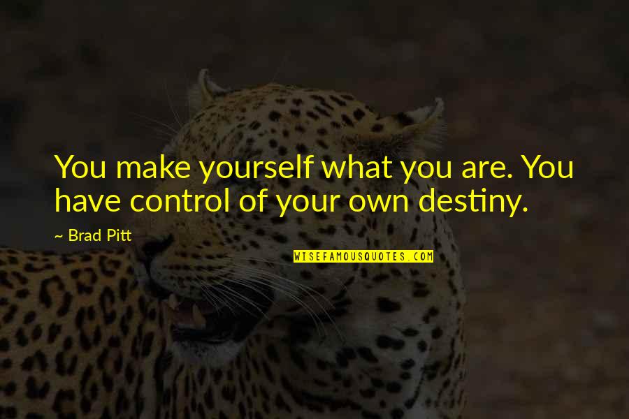 You Make Your Own Destiny Quotes By Brad Pitt: You make yourself what you are. You have