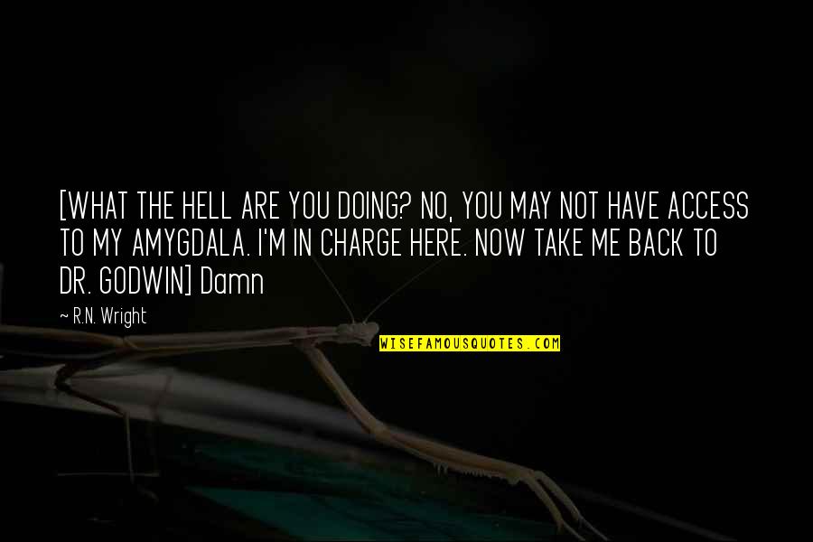 You May Not Be Here Quotes By R.N. Wright: [WHAT THE HELL ARE YOU DOING? NO, YOU