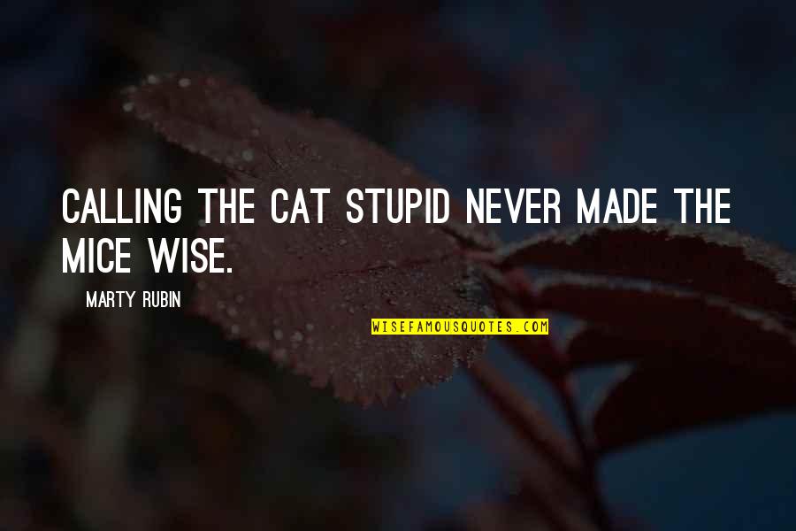 You May Not Kiss The Bride Quotes By Marty Rubin: Calling the cat stupid never made the mice