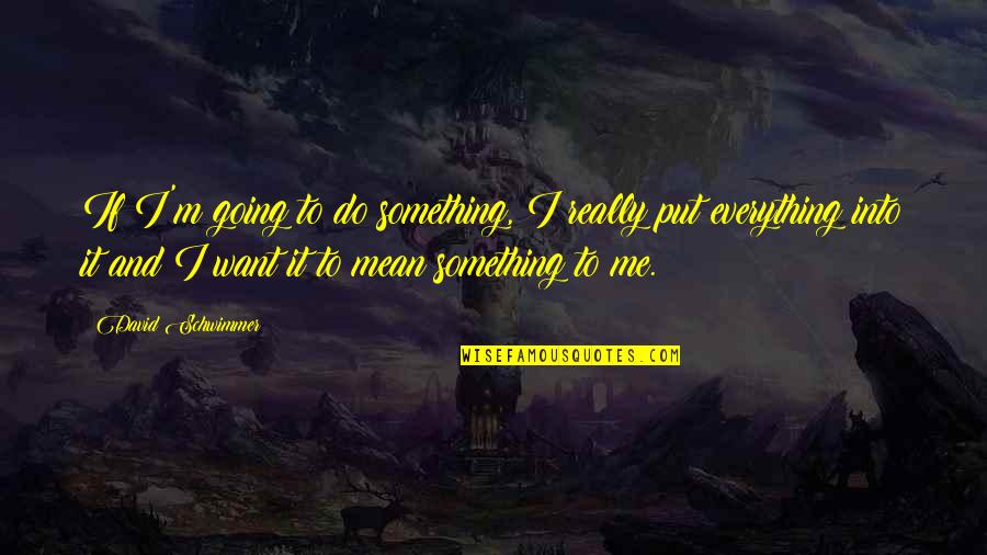 You Mean Everything Me Quotes By David Schwimmer: If I'm going to do something, I really