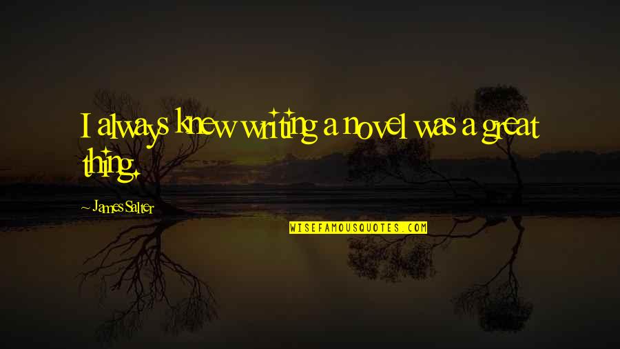 You Mean Everything To Me Baby Quotes By James Salter: I always knew writing a novel was a