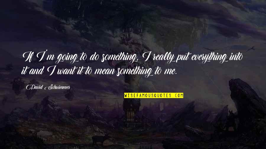 You Mean Everything To Me Quotes By David Schwimmer: If I'm going to do something, I really