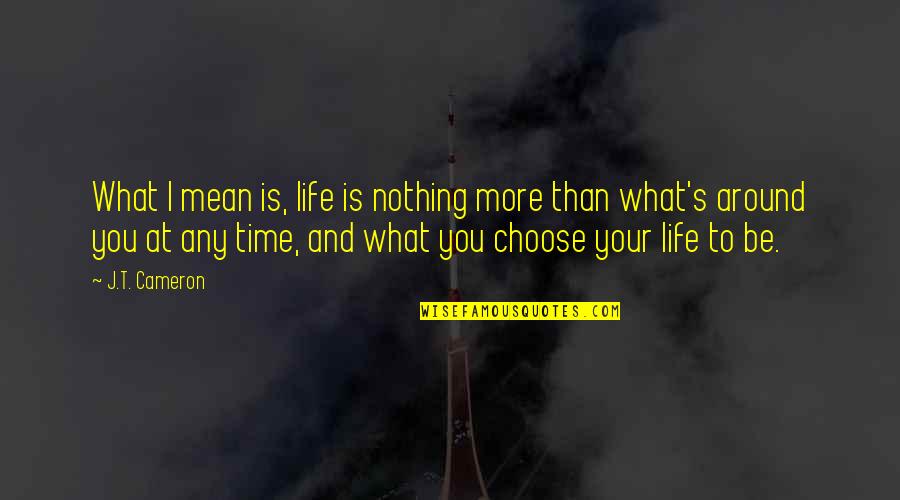 You Mean Nothing Quotes By J.T. Cameron: What I mean is, life is nothing more