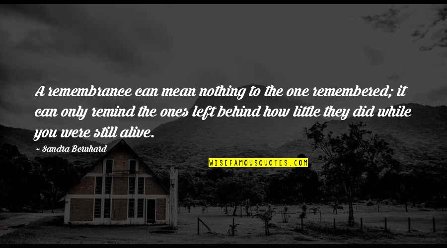 You Mean Nothing Quotes By Sandra Bernhard: A remembrance can mean nothing to the one