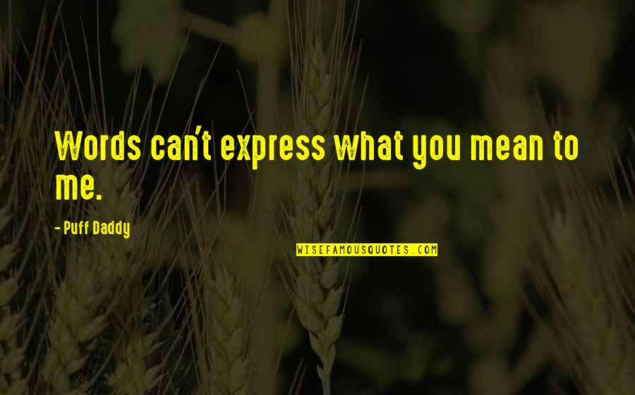 You Mean So Much To Me Friendship Quotes By Puff Daddy: Words can't express what you mean to me.