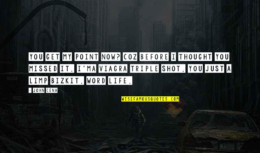 You Missed It Quotes By John Cena: You get my point now? Coz before I