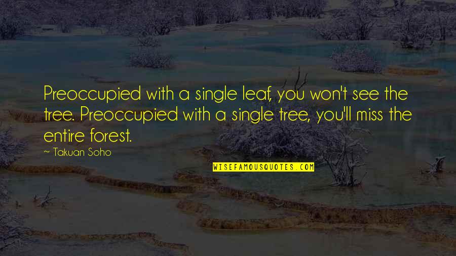 You Missing Your Ex Quotes By Takuan Soho: Preoccupied with a single leaf, you won't see