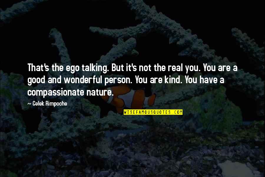 You Most Wonderful Person Quotes By Gelek Rimpoche: That's the ego talking. But it's not the