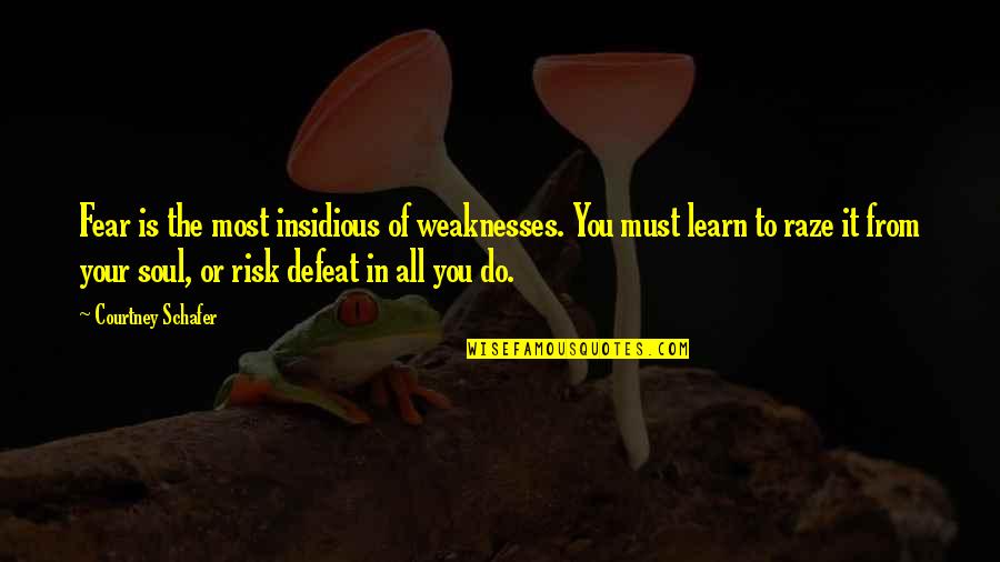 You Must Learn Quotes By Courtney Schafer: Fear is the most insidious of weaknesses. You