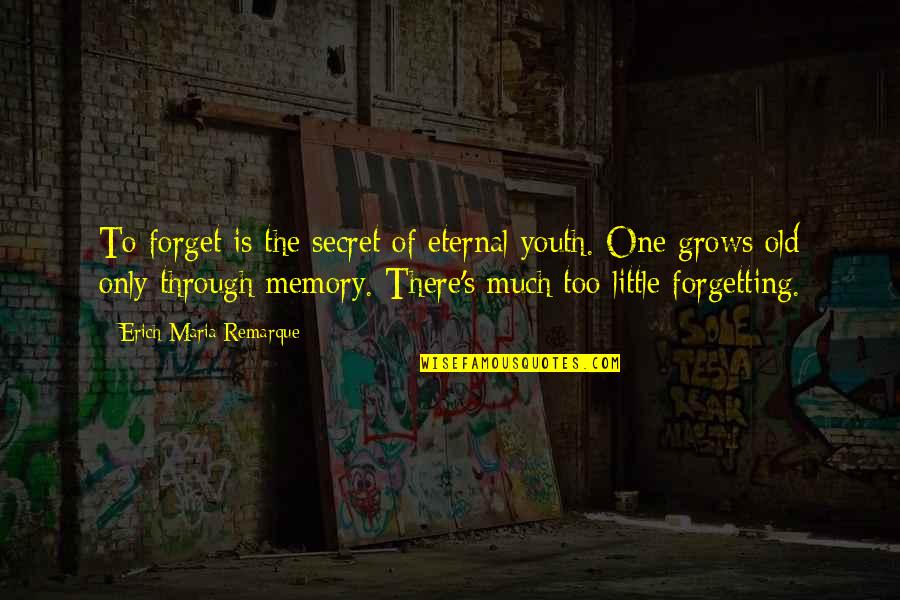 You My Little Secret Quotes By Erich Maria Remarque: To forget is the secret of eternal youth.