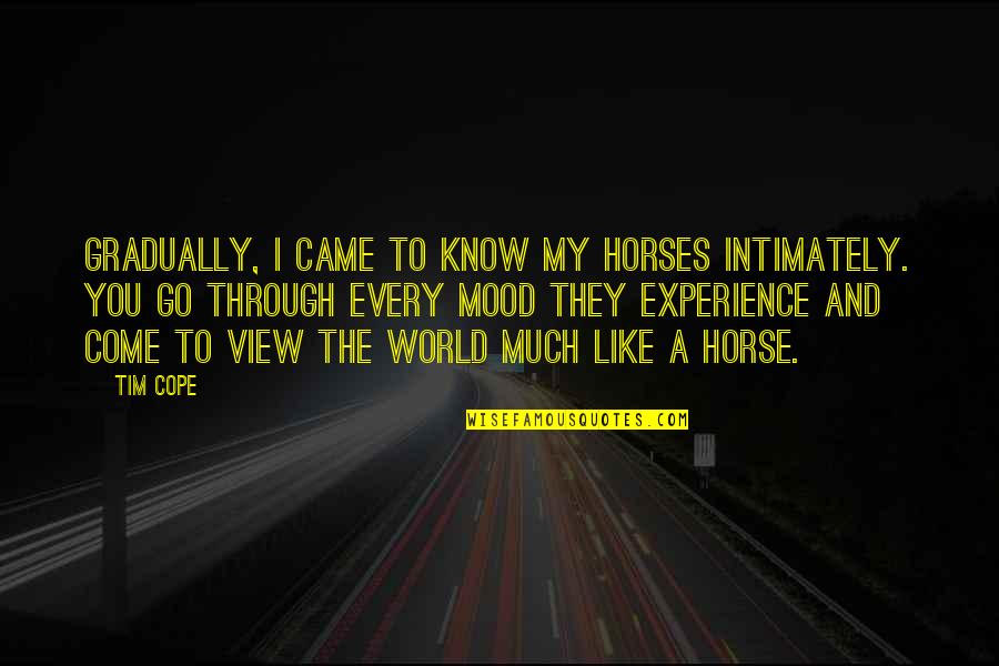 You My World Quotes By Tim Cope: Gradually, I came to know my horses intimately.