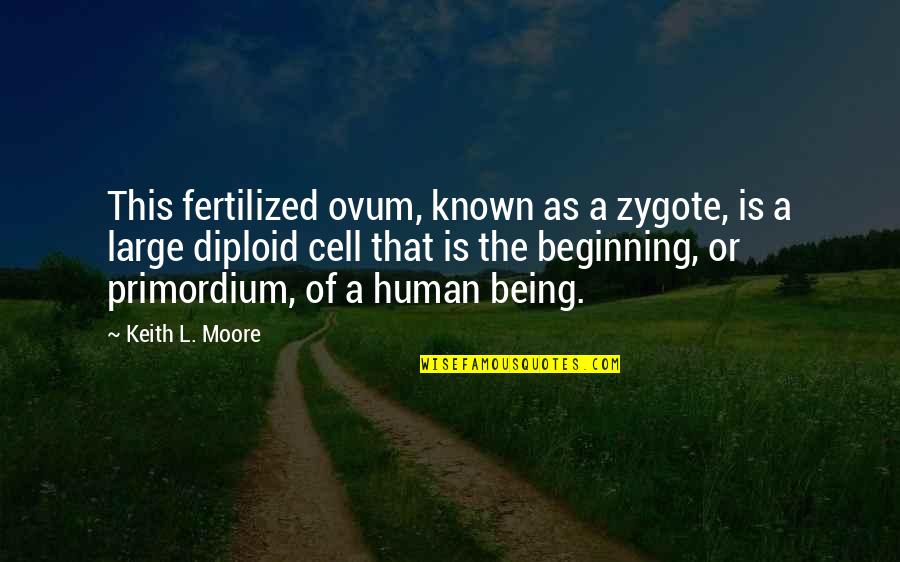 You Need A Boyfriend Quotes By Keith L. Moore: This fertilized ovum, known as a zygote, is