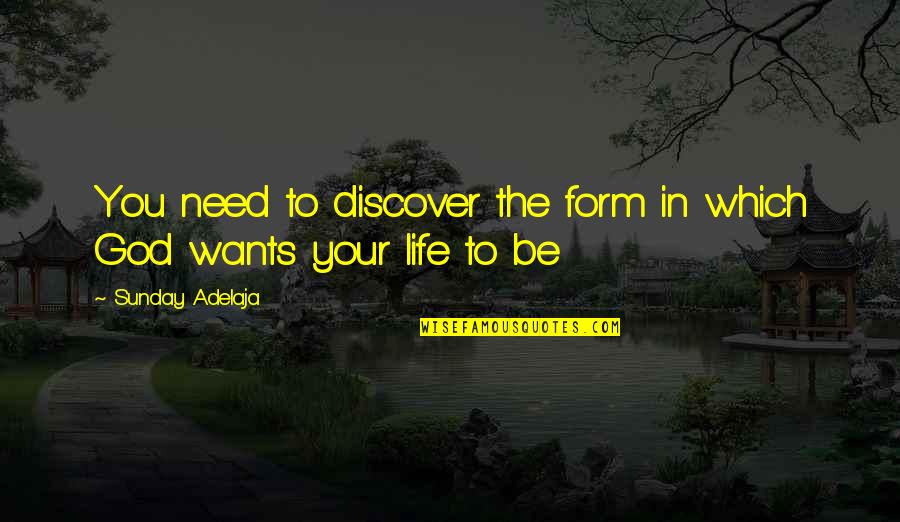 You Need God In Your Life Quotes By Sunday Adelaja: You need to discover the form in which