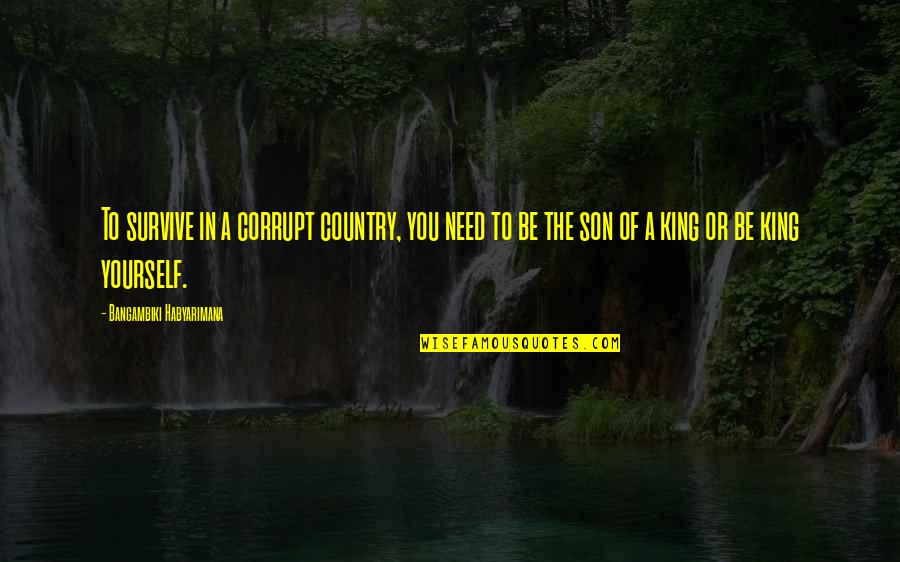 You Need To Be You Quotes By Bangambiki Habyarimana: To survive in a corrupt country, you need