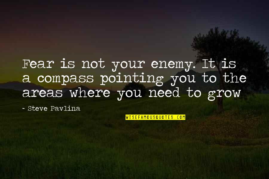 You Need To Grow Up Quotes By Steve Pavlina: Fear is not your enemy. It is a You Need To Grow Up Quotes By Steve Pavlina: Fear is not your enemy. It is a