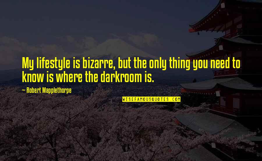 You Need To Know Quotes By Robert Mapplethorpe: My lifestyle is bizarre, but the only thing