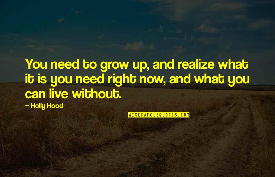You Need To Realize Quotes By Holly Hood: You need to grow up, and realize what