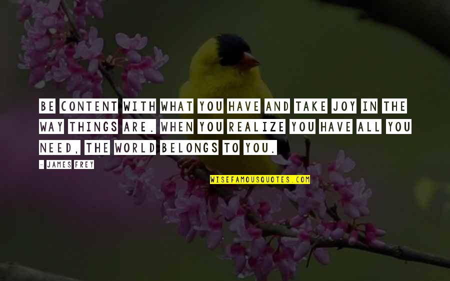 You Need To Realize Quotes By James Frey: Be content with what you have and take