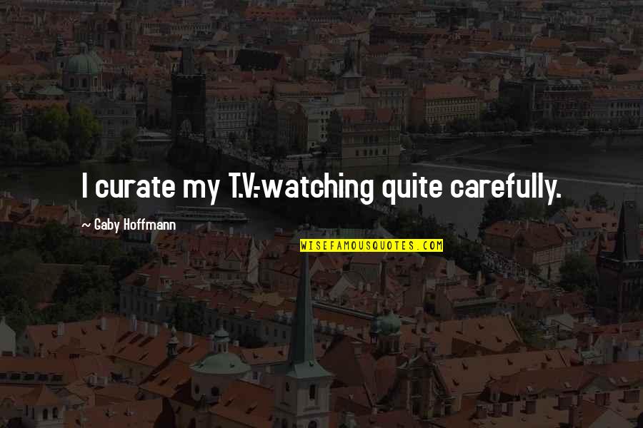 You Netflix Series Quotes By Gaby Hoffmann: I curate my T.V.-watching quite carefully.