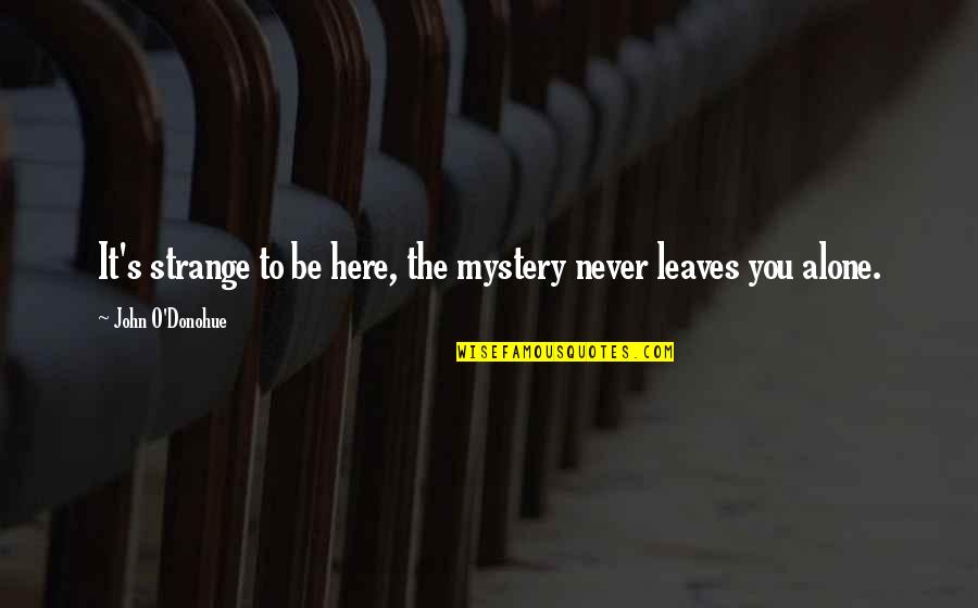 You Never Alone Quotes By John O'Donohue: It's strange to be here, the mystery never You Never Alone Quotes By John O'Donohue: It's strange to be here, the mystery never