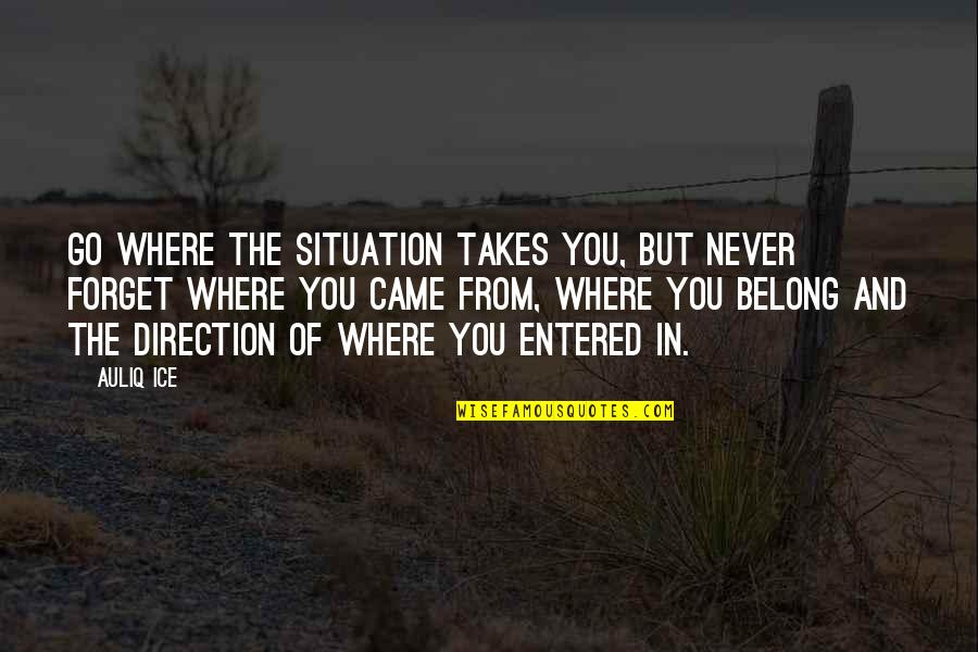 You Never Came Quotes By Auliq Ice: Go where the situation takes you, but never