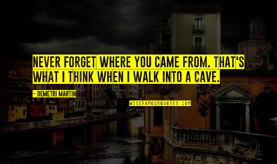 You Never Came Quotes By Demetri Martin: Never forget where you came from. That's what You Never Came Quotes By Demetri Martin: Never forget where you came from. That's what