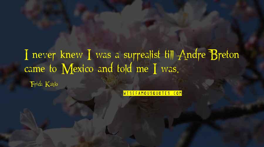 You Never Knew Me Quotes By Frida Kahlo: I never knew I was a surrealist till