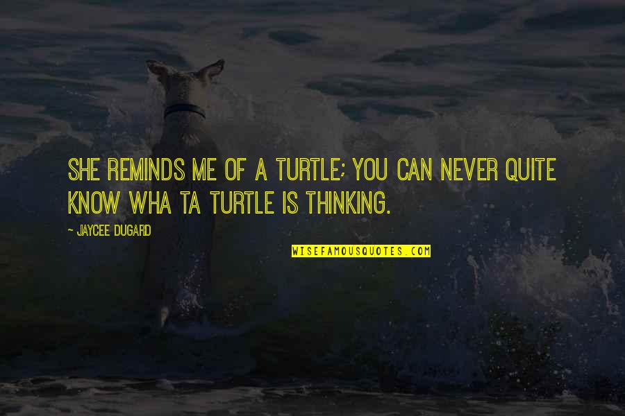 You Never Know Me Quotes By Jaycee Dugard: She reminds me of a turtle; you can