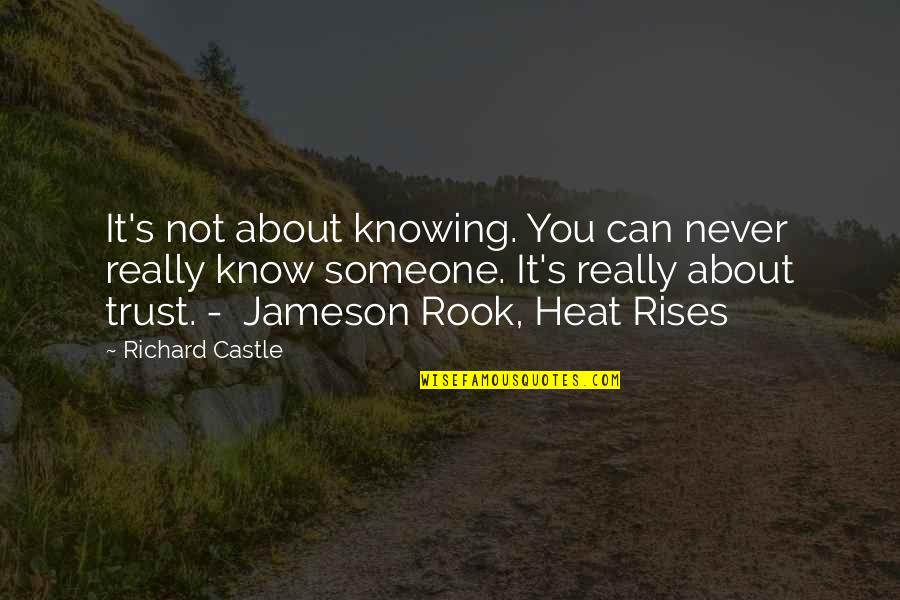 You Never Know Someone Quotes By Richard Castle: It's not about knowing. You can never really You Never Know Someone Quotes By Richard Castle: It's not about knowing. You can never really