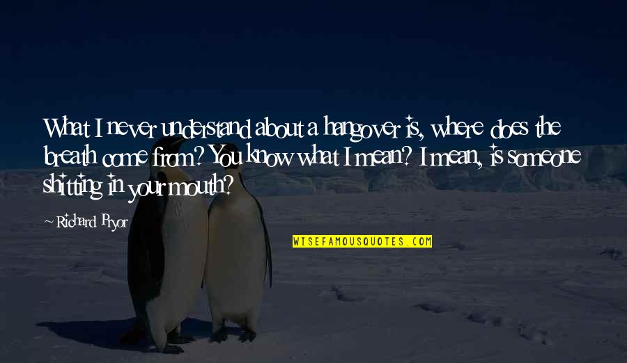 You Never Know Someone Quotes By Richard Pryor: What I never understand about a hangover is, You Never Know Someone Quotes By Richard Pryor: What I never understand about a hangover is,