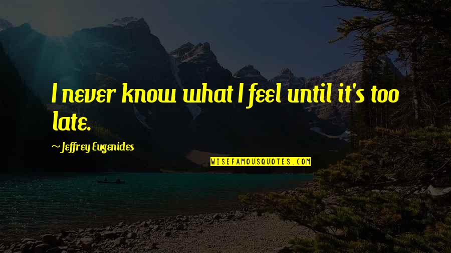 You Never Know What I Feel Quotes By Jeffrey Eugenides: I never know what I feel until it's