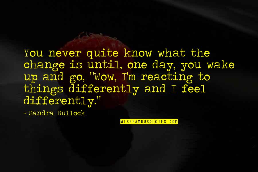 You Never Know What I Feel Quotes By Sandra Bullock: You never quite know what the change is