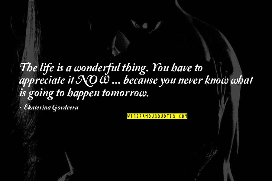 You Never Know What You Have Quotes By Ekaterina Gordeeva: The life is a wonderful thing. You have