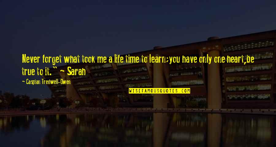 You Never Learn Quotes By Caspian Tredwell-Owen: Never forget what took me a life time