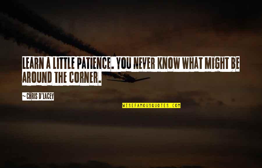 You Never Learn Quotes By Chris D'Lacey: Learn a little patience. You never know what