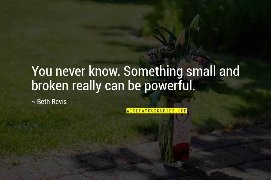 You Never Really Know Quotes By Beth Revis: You never know. Something small and broken really