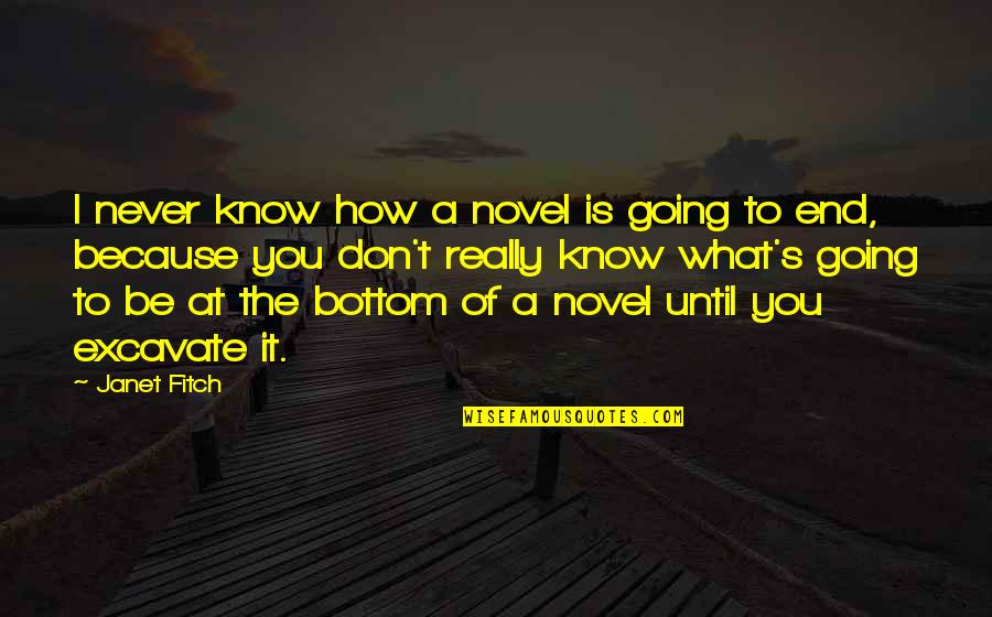 You Never Really Know Quotes By Janet Fitch: I never know how a novel is going
